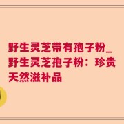 野生灵芝带有孢子粉_野生灵芝孢子粉:珍贵天然滋补品