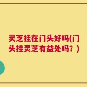 灵芝挂在门头好吗(门头挂灵芝有益处吗？)
