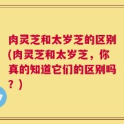 肉灵芝和太岁芝的区别(肉灵芝和太岁芝，你真的知道它们的区别吗？)