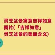 灵芝盆景寓意吉祥如意图片(「吉祥如意」 灵芝盆景的美丽含义)