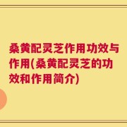 桑黄配灵芝作用功效与作用(桑黄配灵芝的功效和作用简介)