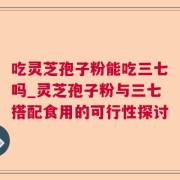 吃灵芝孢子粉能吃三七吗_灵芝孢子粉与三七搭配食用的可行性探讨