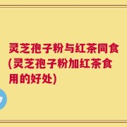 灵芝孢子粉与红茶同食(灵芝孢子粉加红茶食用的好处)
