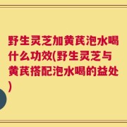 野生灵芝加黄芪泡水喝什么功效(野生灵芝与黄芪搭配泡水喝的益处)