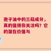 孢子油中的三萜成分，真的值得你关注吗？它的潜在价值与