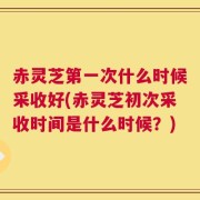 赤灵芝第一次什么时候采收好(赤灵芝初次采收时间是什么时候？)