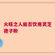 火旺之人能否饮用灵芝孢子粉