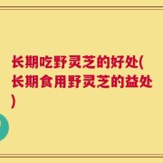 长期吃野灵芝的好处(长期食用野灵芝的益处)