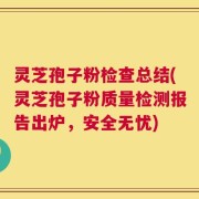 灵芝孢子粉检查总结(灵芝孢子粉质量检测报告出炉，安全无忧)