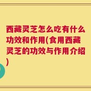 西藏灵芝怎么吃有什么功效和作用(食用西藏灵芝的功效与作用介绍)