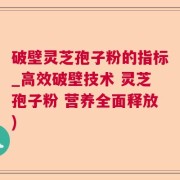 破壁灵芝孢子粉的指标_高效破壁技术 灵芝孢子粉 营养全面释放)