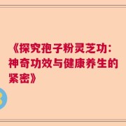 《探究孢子粉灵芝功：神奇功效与健康养生的紧密》