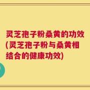 灵芝孢子粉桑黄的功效(灵芝孢子粉与桑黄相结合的健康功效)