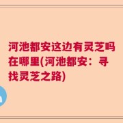 河池都安这边有灵芝吗在哪里(河池都安：寻找灵芝之路)