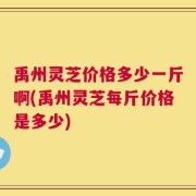 禹州灵芝价格多少一斤啊(禹州灵芝每斤价格是多少)