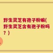 野生灵芝有孢子粉嘛(野生灵芝含有孢子粉吗？)