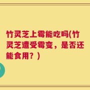 竹灵芝上霉能吃吗(竹灵芝遭受霉变，是否还能食用？)