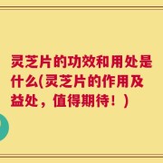 灵芝片的功效和用处是什么(灵芝片的作用及益处，值得期待！)