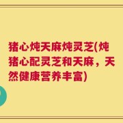 猪心炖天麻炖灵芝(炖猪心配灵芝和天麻，天然健康营养丰富)