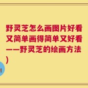 野灵芝怎么画图片好看又简单画得简单又好看——野灵芝的绘画方法)