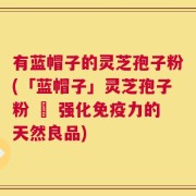 有蓝帽子的灵芝孢子粉(「蓝帽子」灵芝孢子粉 – 强化免疫力的天然良品)