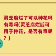 灵芝腐烂了可以种花吗有毒吗(灵芝腐烂后可用于种花，是否有毒呢？)