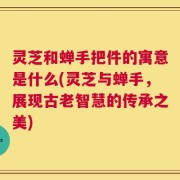 灵芝和蝉手把件的寓意是什么(灵芝与蝉手，展现古老智慧的传承之美)