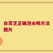白灵芝正确泡水喝方法图片