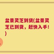 盆景灵芝到货(盆景灵芝已到货，赶快入手！)