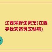 江西采野生灵芝(江西寻找天然灵芝秘境)