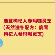 鹿茸枸杞人参玛咖灵芝(天然滋补配方：鹿茸枸杞人参玛咖灵芝)