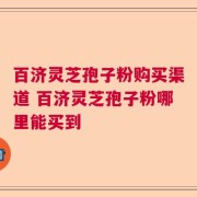 百济灵芝孢子粉购买渠道 百济灵芝孢子粉哪里能买到