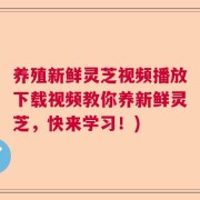 养殖新鲜灵芝视频播放下载视频教你养新鲜灵芝，快来学习！)