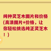 纯种灵芝木图片和价格(高清图片+价格，让你轻松挑选纯正灵芝木！)