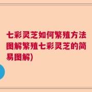 七彩灵芝如何繁殖方法图解繁殖七彩灵芝的简易图解)