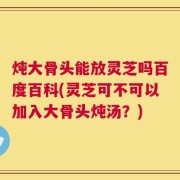 炖大骨头能放灵芝吗百度百科(灵芝可不可以加入大骨头炖汤？)