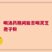 喝汤药期间能否喝灵芝孢子粉