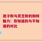 孢子粉与灵芝粉的别样魅力：你知道的与不知道的对比
