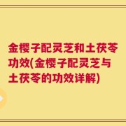 金樱子配灵芝和土茯苓功效(金樱子配灵芝与土茯苓的功效详解)