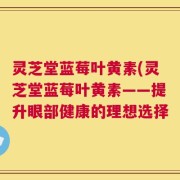 灵芝堂蓝莓叶黄素(灵芝堂蓝莓叶黄素——提升眼部健康的理想选择