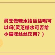 灵芝做糖水给丝丝喝可以吗(灵芝糖水可否给小猫咪丝丝饮用？)