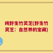 纯野生竹灵芝(野生竹灵芝：自然界的宝藏)