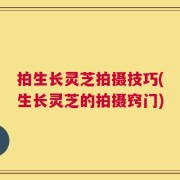 拍生长灵芝拍摄技巧(生长灵芝的拍摄窍门)