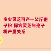 多少灵芝可产一公斤孢子粉 探究灵芝与孢子粉产量关系