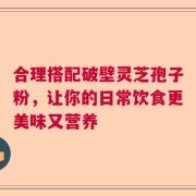 合理搭配破壁灵芝孢子粉，让你的日常饮食更美味又营养