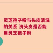 灵芝孢子粉与头皮清洗的关系 洗头皮是否能用灵芝孢子粉