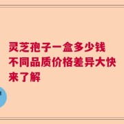 灵芝孢子一盒多少钱 不同品质价格差异大快来了解