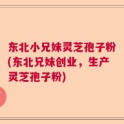 东北小兄妹灵芝孢子粉(东北兄妹创业，生产灵芝孢子粉)