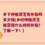 乡下种植灵芝有补贴吗多少钱(乡村种植灵芝能获得什么样的补贴？了解一下！)