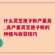 什么灵芝孢子粉产量高_高产量灵芝孢子粉的种植与收获技巧
